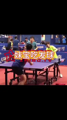 Nhân một ngày đẹp . 10 năm từ khi Shasha vào đội tuyển chúc Sha thật thành công trong con đường sự nghiệp của mình luôn vui vẻ và khoẻ mạnh.  J4F: Sha vào đội tuyển được 10 năm thì chú Cún đầu to nào đó đã ở bên suốt 8 năm rùi. Cái thời chít chít meo meo thật thoải mái từng khoảnh khắc đều khiến tui không khỏi rung động lun nè. Thời măng non bạo dạn thiệt sự. Cứ ở chung là sát rạt zị đó. #shatou #sunyingsha #wangchuqin #5114 #shatou莎头 