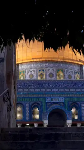 يا رب لا تفجعنا فيه يا رب يا رحيم يارب 💔#غزه_فلسطين🇵🇸 