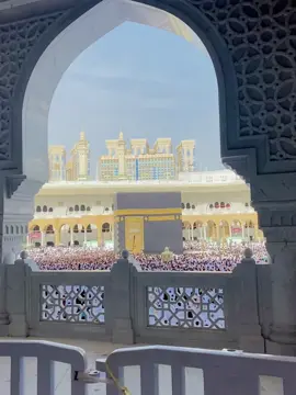 আলহামদুলিল্লাহ 🕋❤️‍🩹 #foryou #foryoupage #fyp #saudiarabia🇸🇦 #mamunff @Ꮪ𝙰ɪ𝙵𝚄ʟ  