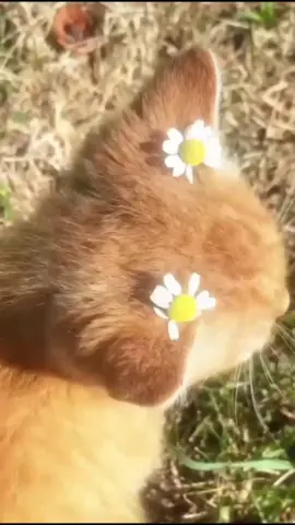 Aww😫🎀