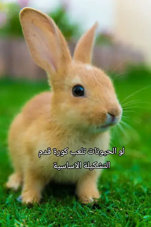 #foryou #tiktok #capcut #fyp #viral 