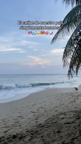 De mis lugares favoritos 🤍 #costarica🇨🇷 #caribecostarica #puertoviejocostarica #puntauva🇨🇷🇨🇷🇨🇷 