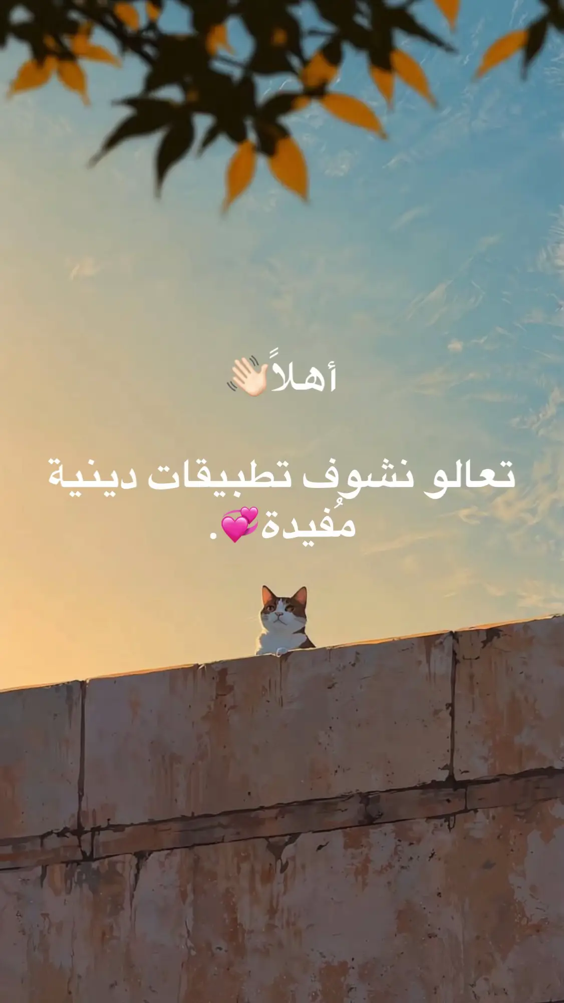 #ياحسين #ياعلي_مولا_عَلَيہِ_السّلام #يافاطمة_الزهراء #الشيعة #شيعيه       العالمين                                       لا_اله_الا_الله 😔💔  # fyp     
