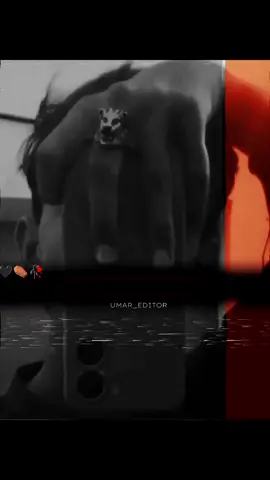 #tiktok . #fyp . #viral . #trending . #explore . Q.          Z U.          A R.          D E.          A S.         H.     I. 