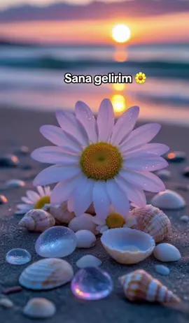 Ben seni olmuşum 🌼🌼🌼