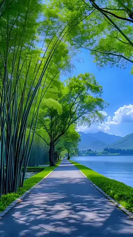 #القوران_الکریم #greenscreen #foryoupage #foryoupageofficial #foryoupageofficial 