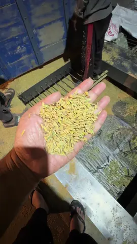 Kilangpadiaceh#acehviral #fyppppppppppppppppppppppp 