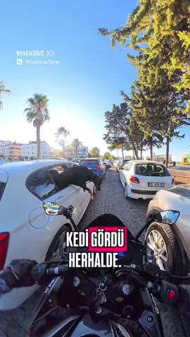 Hocam frene basss! . . . . . . . . . . . #yamaha #motorcyle #reelsinstagram #motorbike #reels           