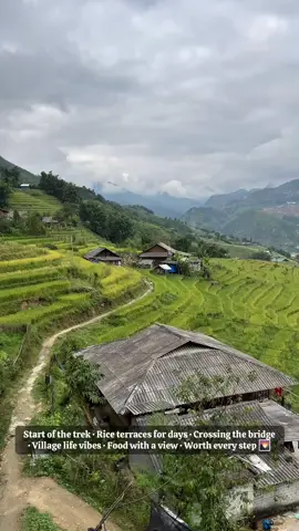 Trek through Muong Hoa Valley 🌾 from rice terraces to suspension bridges, every step was unreal. Would you dare to cross that bridge? 🌉   #vietnamtravel #sapatrip #backpackerlife #dailyvlog #travelreel  	 Trek dans la vallée de Muong Hoa 🌾 entre rizières en terrasse et ponts suspendus — chaque pas valait le coup. Et toi, tu traverserais ce pont ? 🌉          