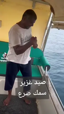 جزر فرسان #المملكة_العربية_السعودية #جزيرة_فرسان🇸🇦 #اكسبلورexplore❥🕊🦋💚❤ ري