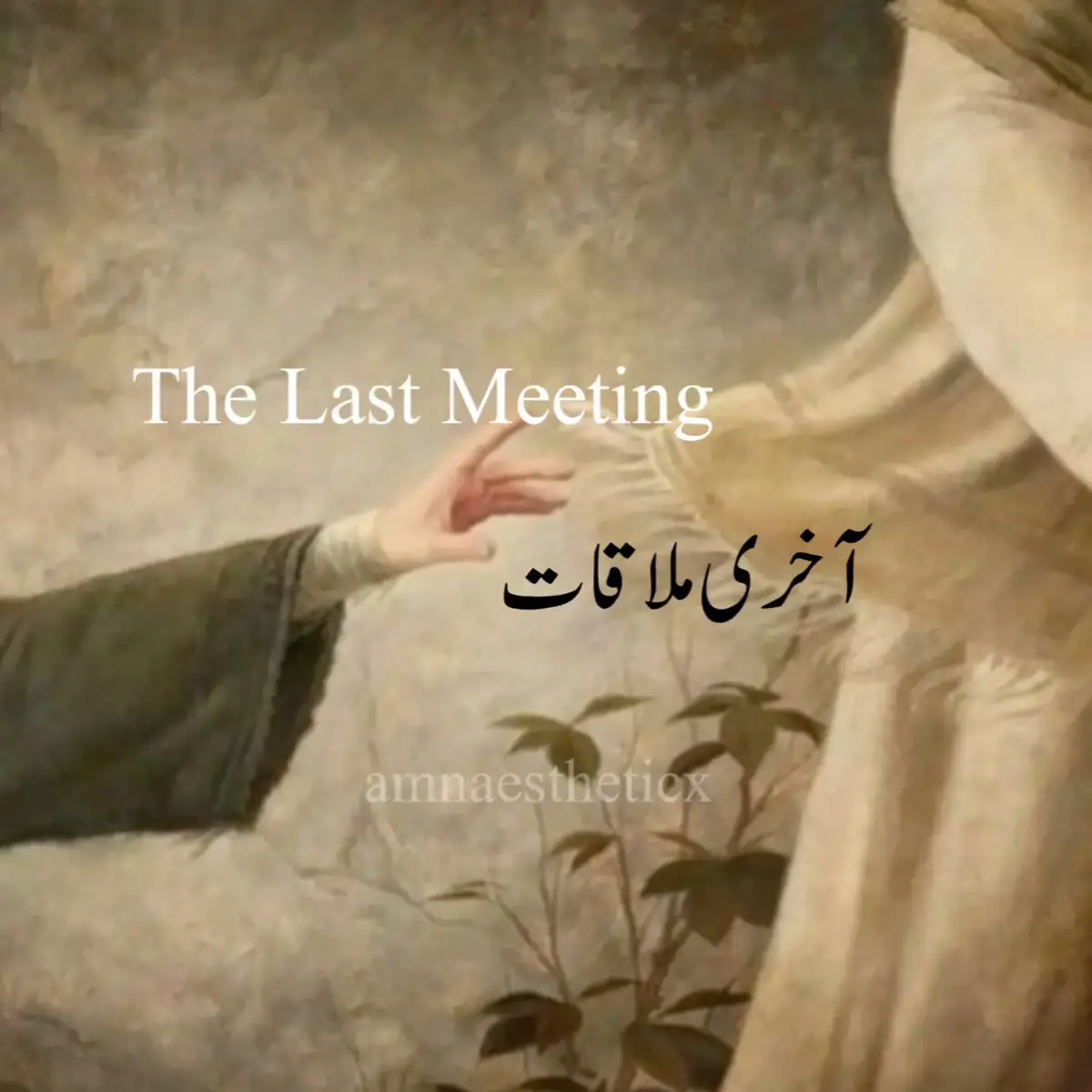 #frypanシ #urdupoetry #dontunderreviewmyvideo 