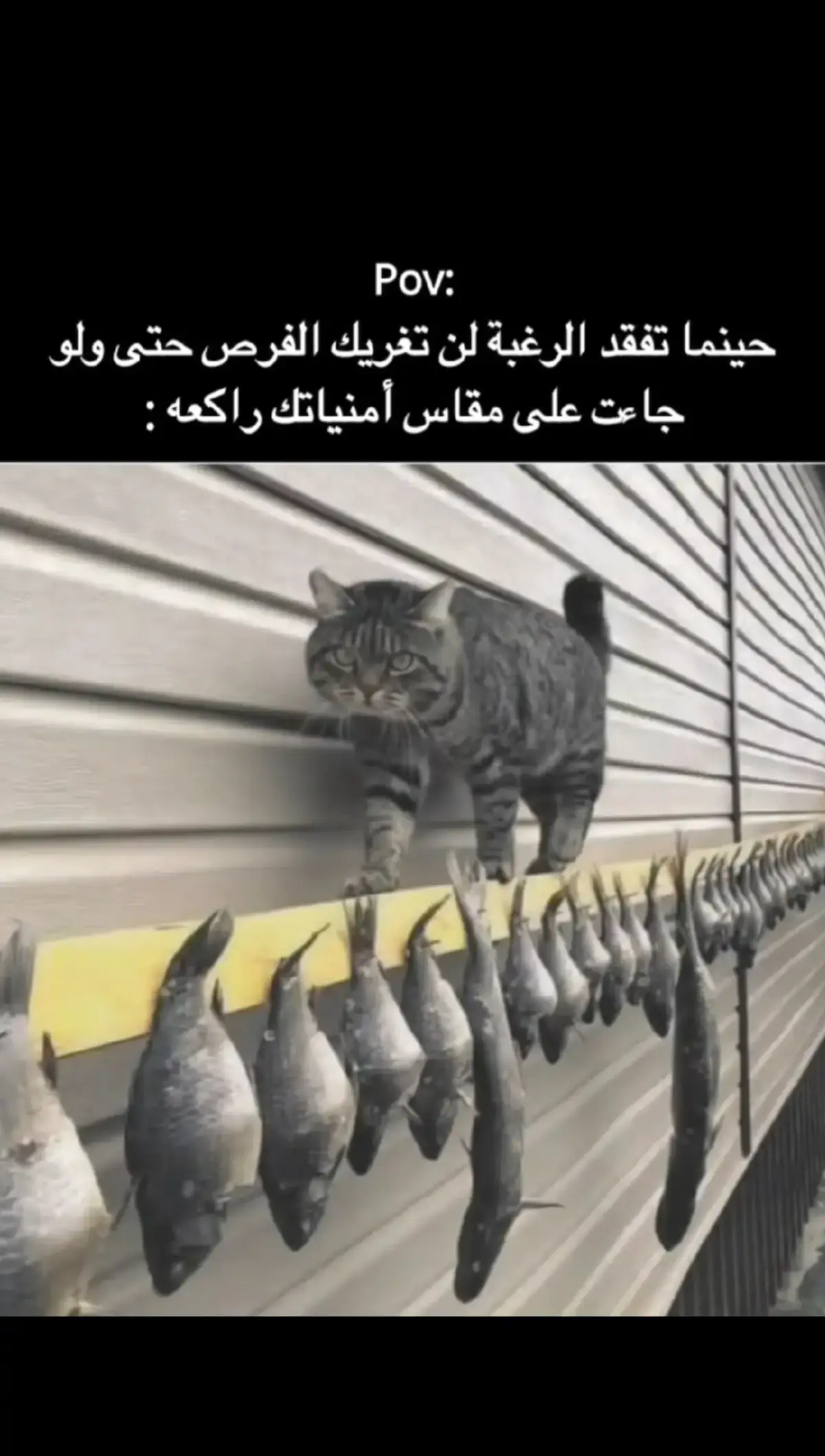 #حزن_غياب_وجع_فراق_دموع_خذلان_صدمة #اقتباسات_عبارات_خواطر🖤🦋🥀 