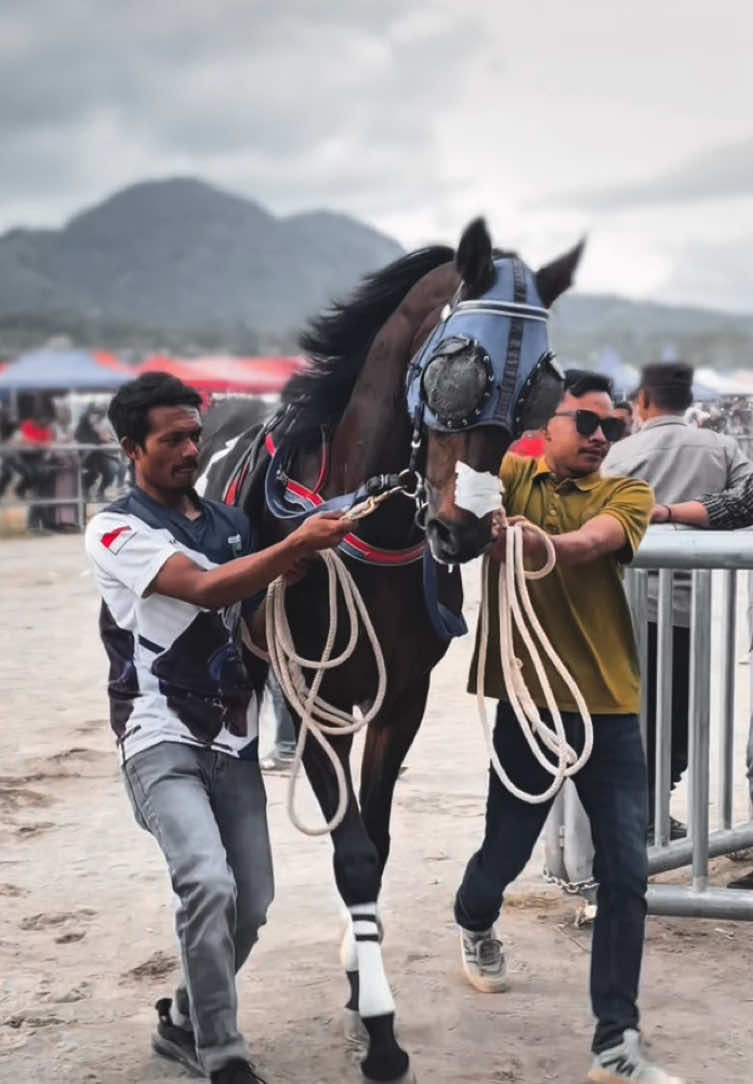 Simpati Nusa #pacuankudagayo #pacuankuda #takengon 