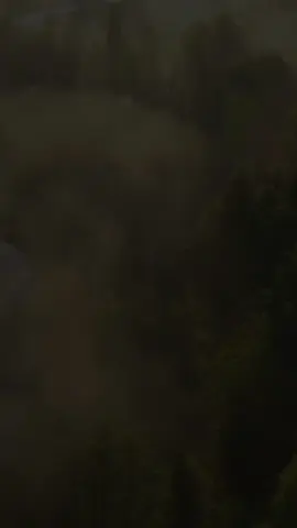 #CapCut #LIVEIncentiveProgram #MyLIVEJourney #PaidPartnership ##LIVEStory 