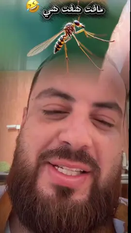 #غيثالموريتاني🇲🇷 #ابواسماعيل #موريتانيا🇲🇷المغرب🇲🇦تونس🇹🇳الجزائر🇩🇿 #اكسبلور #موريتانيا🇲🇷 