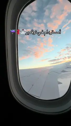 أمستردام في نوڤمبر☃️☔️ #امستردام #هولندا #سفر #شتاء #fyp 