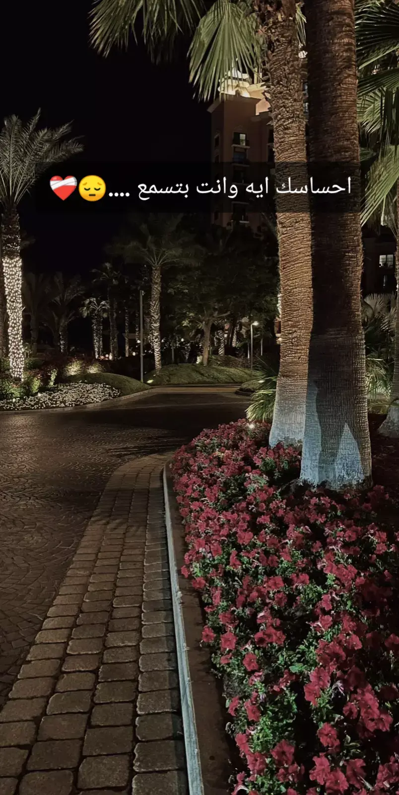 #اغاني_بدون_موسيقى #no_music_ #لو_عشت_بعدي_وبعد_بعدي_جيت_وحبيتت#صوت_جميل_جداً👌👌❤️🥰 #no_music_ 