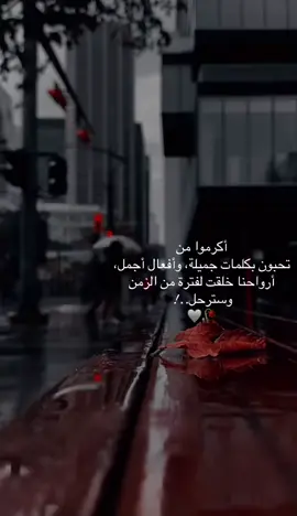 #حكيات #صامته #مصممين_فيديوهات♥🎬🎶 #مشهير_تيك_توك_مشاهير_انستقرام #بغدادي 