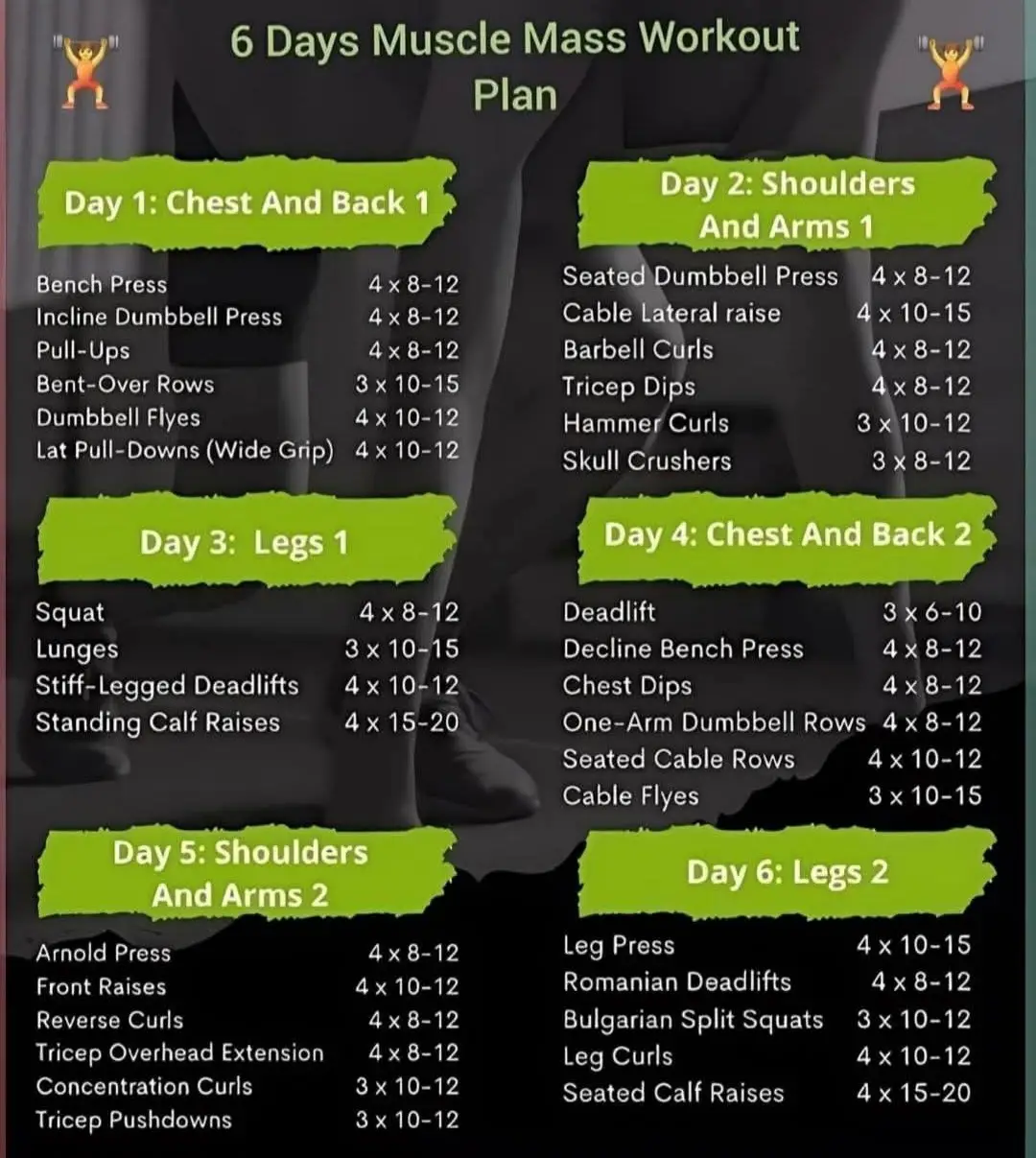 #gymworkouts #training #musclebuilding #trainingprogram 