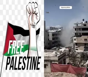 #duet dengan @Gazaupdate 2 #gaza 