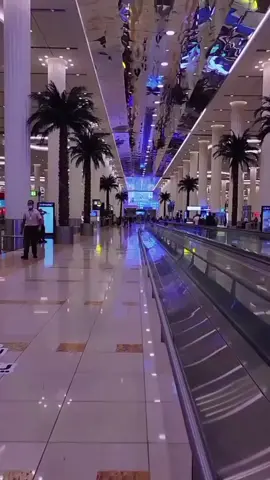 #CapCut #duet #creatorsearchinsights 