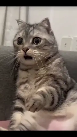 #kasi #southafrica #blowthisup 