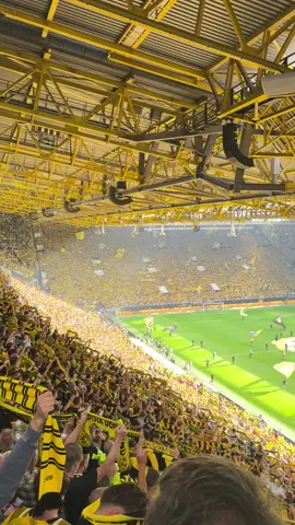 YOU’LL NEVER WALK ALONE ⚫️🟡 #bvb #dortmund #westfalenstadion #bundesliga #fyp 