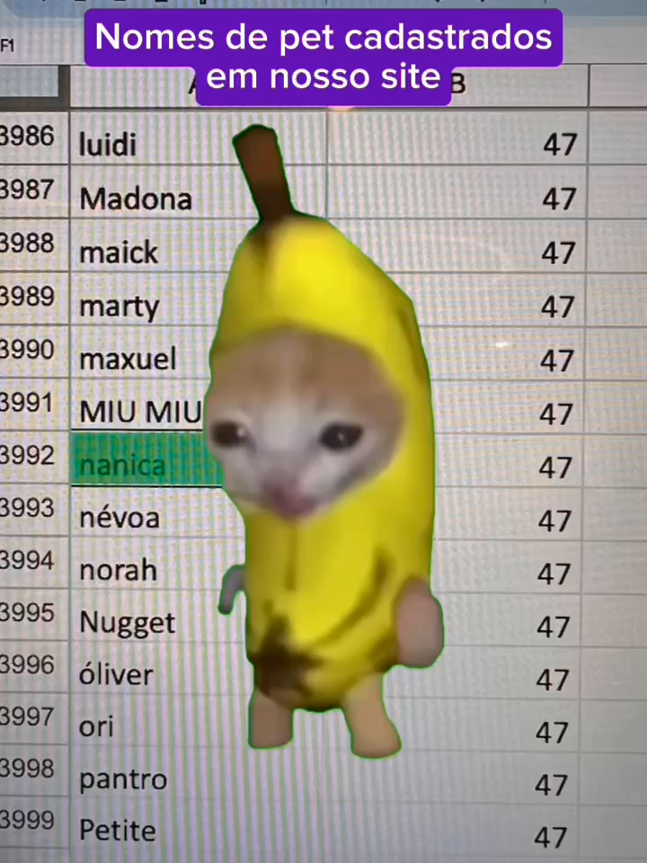 Ei, @nanicabrasilil! Vem ver quantos pets estão na missão com vocês de exaltar a fruta mais brazuca e amada do país: a banana! 😎 🍌 #banana #petlove #nanica