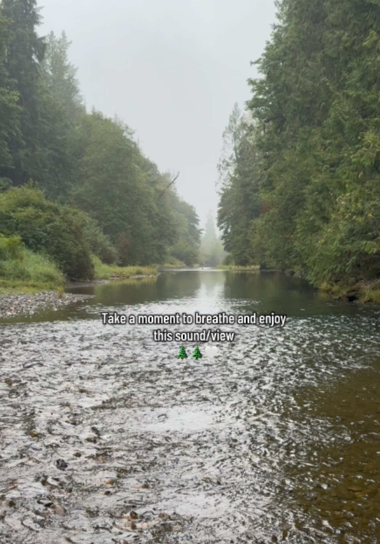 Good Morning my luvs 🫶🏼 #fyp #nature #breathe #relaxing 