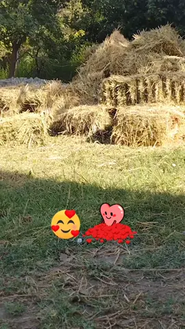 🥰♥️🤌🏻