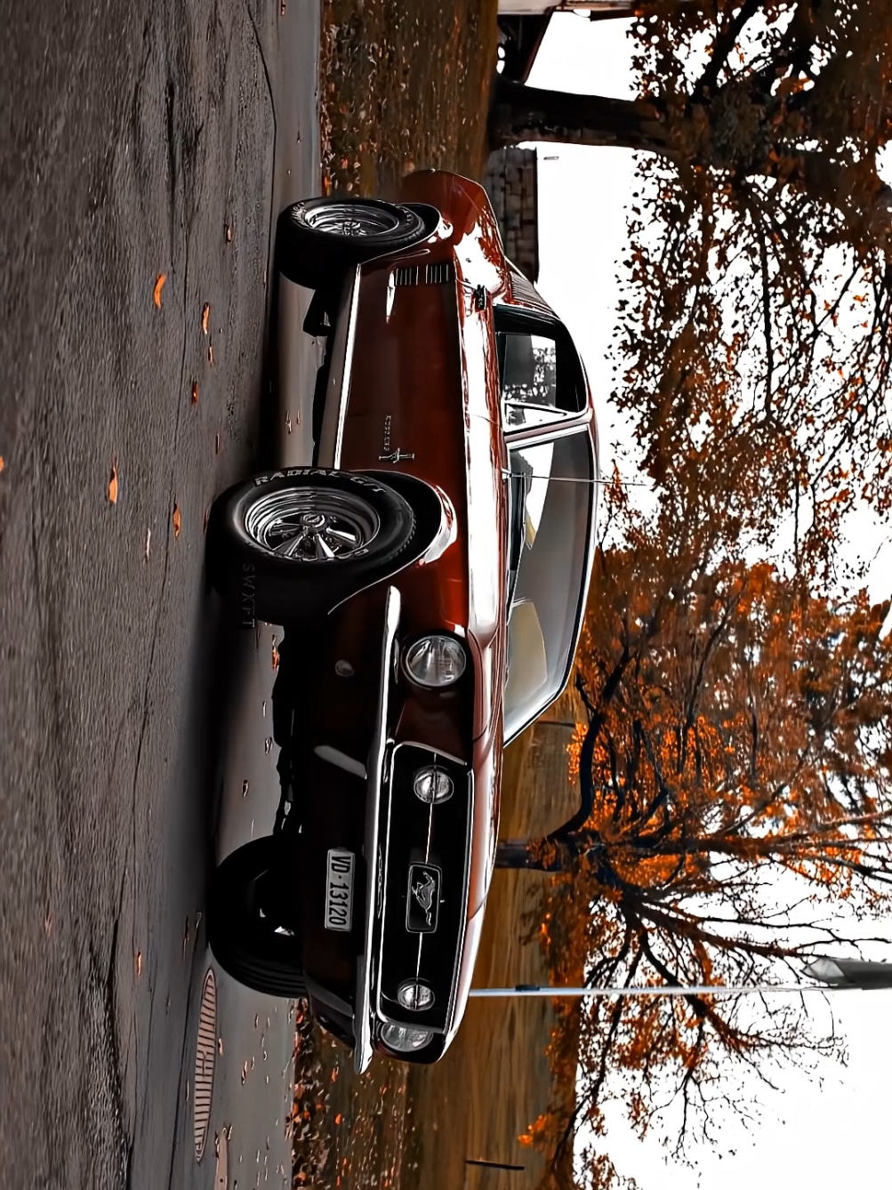 The quality 🤩 | #caredit #teamfx⚜️ #4k #swxft #120fps 