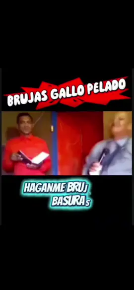 BRUJAS GALLO PELADO... QUE HACEN LECHUZAS  #LIVEIncentiveProgram #SideHustleLIVE #PaidPartnership 