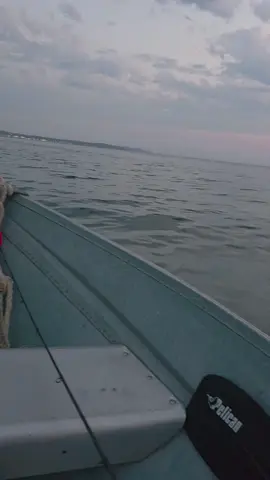 #LIVEIncentiveProgram #MyLIVEJourney #PaidPartnership 