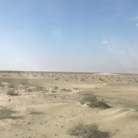 السماوه