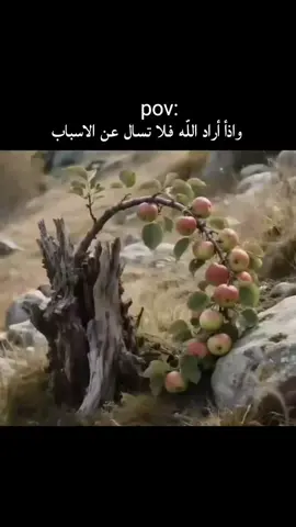 تركتها لك يا الله فأتني بها كما شئت فأنت ماتشاء إلا ما كان خيرا لي🤍#لايك_متابعه_حركة_الاكسبلور❤🦋 