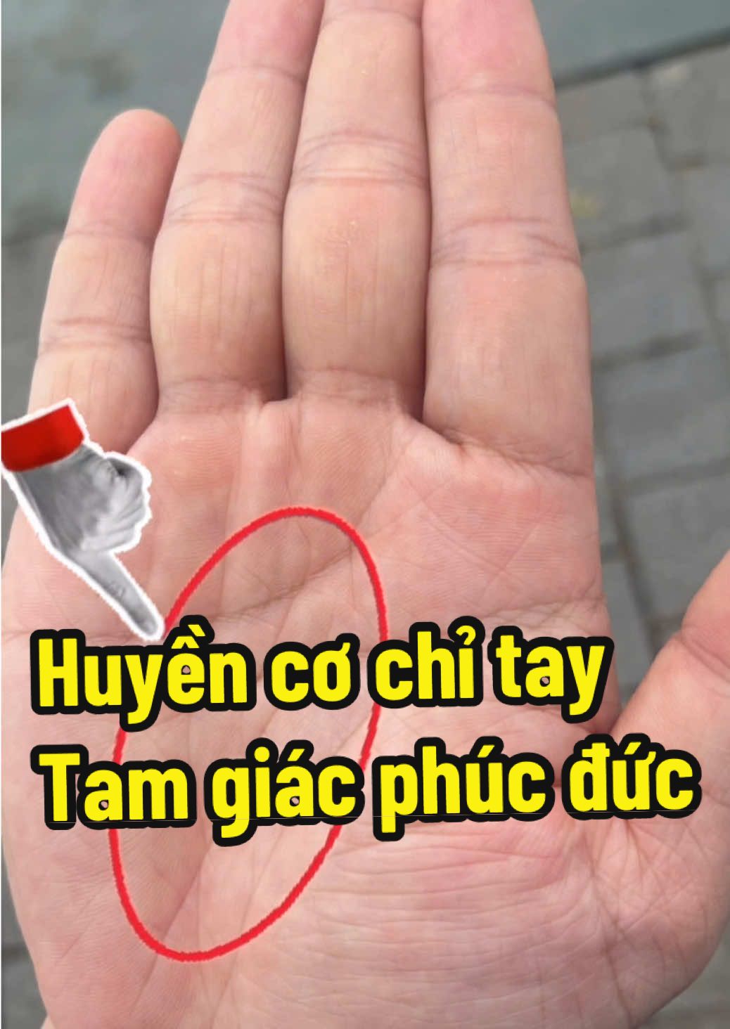 Người sở hữu tam giác phúc đức (hình thành từ đường vận mệnh, trí đạo và thủy tinh) là người tử tế, đoan trang, luôn mang đến may mắn và hạnh phúc cho người mình yêu. Nếu trên tay người yêu bạn có dấu hiệu này thì xin chúc mừng – bạn đã gặp được “người trong mệnh” của mình rồi đó. ✨ Hashtag: #TamGiacPhucDuc #ChiTayTinhYeu #CuoiNgayKeoLo #GiaiMaChiTay #tinhyeumaimai