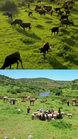 #dhulsoomaliyed🏞🏞🏞🏞✅️🏞✅️✅️🏞 #dhulsoomaliyed🇸🇴🇸🇴🏞🇸🇴🏞🇸🇴 #joharsomalia💚🤍💙🇸🇴🇸🇴🇸🇴🇸🇴🇸🇴 #dhulsoomaliyed🇸🇴🇸🇴🏞🇸🇴🏞🇸🇴 