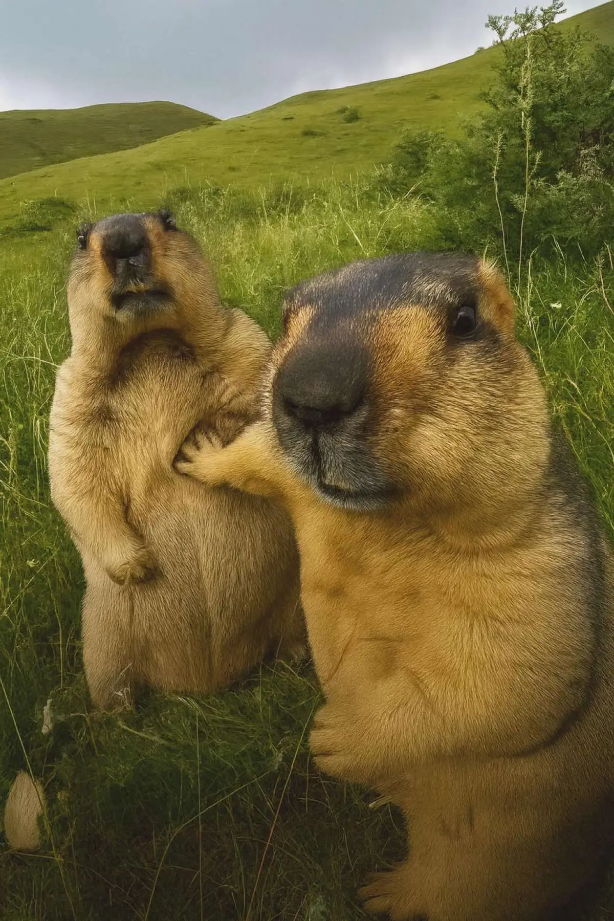 #kasumimiwa #jujutsukaisenanime 