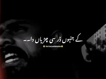 لانے زور پسند آگئے💯❤️‍🩹۔ #fyp #trendiing #viralllllll #burhan_tv_tiktok #punjabipoetry 