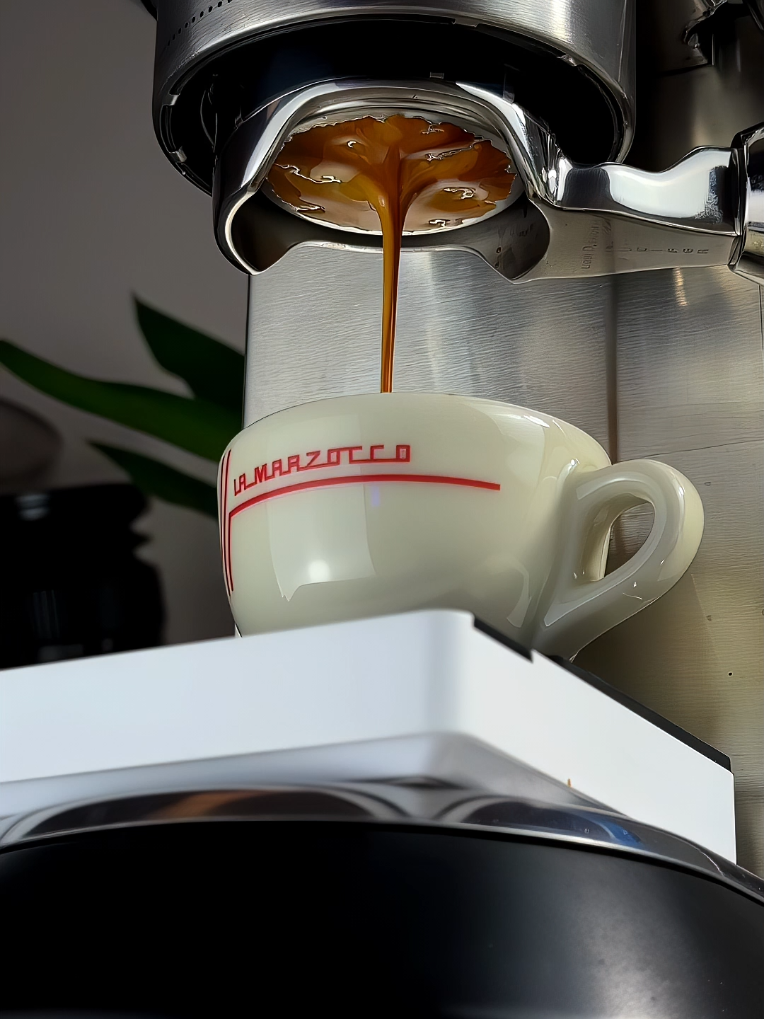 @graph_coffee . . #your_coffee #قهوه #ديلونجي_ديديكا #اسبرسو #بدون_موسيقى