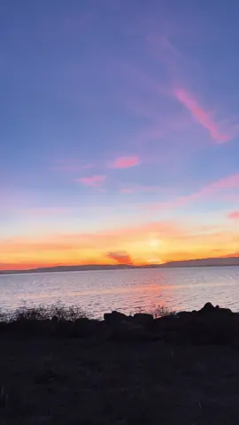 #😘 #teamo #michula #🌹 #amo 