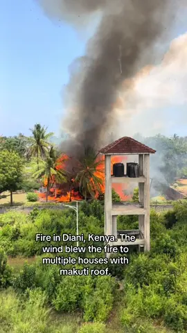 You watch one makuti house catch fire… and within minutes, the wind spreads the flames to an entire row of homes. #disaster#fire #diani 