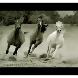 #هشتكات #مجرد________ذووووووق🎶🎵 #تيكتك #جديد #هشتاك_تيك_توك 