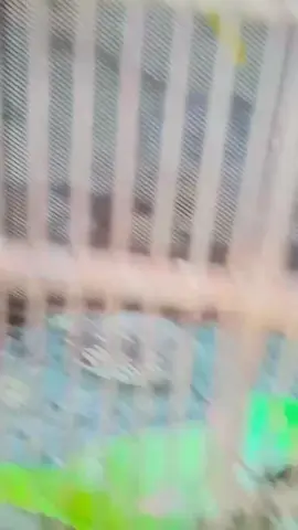 #for#you#page#viral#video😎😎😎😎😎😎😎