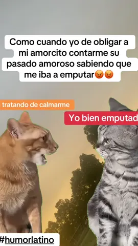#Meme #MemeCut #humorlatino #capcut 😡😡😡🤣🤣🤣🤣🤣