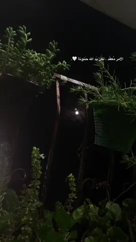 الآمر مُعقّد ، لكن يَد الله حَنونة 🤍. #اكسبلورexplore #تصويري #عبارات #foryou #الحمدالله_علی_کل_حال❤ 