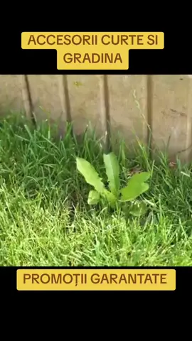 #sculeprofishop #accesoriigradina #gradina #gazon #motocoasa 
