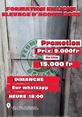 🔴NOUS DÉBUTONS CE DIMANCHE - MARDI  #agriculture #formationenligne💻 #agouti #ÉlevageAgouti 