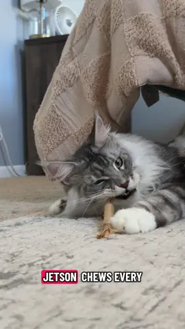 Teething toys are making my electrical cords stay intact 😂😂