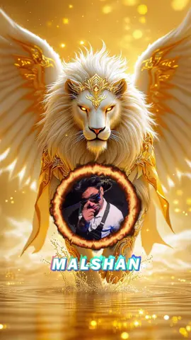 Thank you for supporting my live match. @semuthumalshan31 #nuwanslaw #teamnuwan #tiktokmatch #tikoklive #tiktokgifts #foryou #live #tiktokviral #tiktokviralvideos